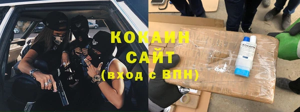 дживик Бронницы