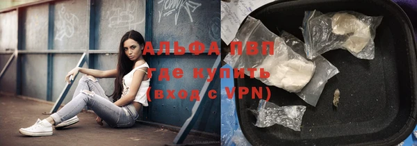 дживик Бронницы