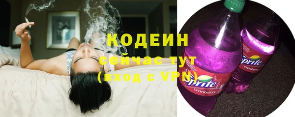 a pvp Бородино