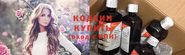 дживик Бронницы