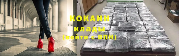 дживик Бронницы