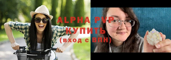 a pvp Бородино