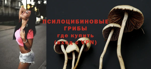 a pvp Бородино