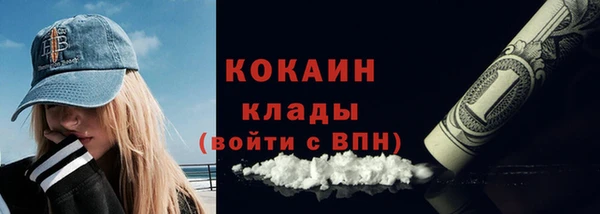 дживик Бронницы