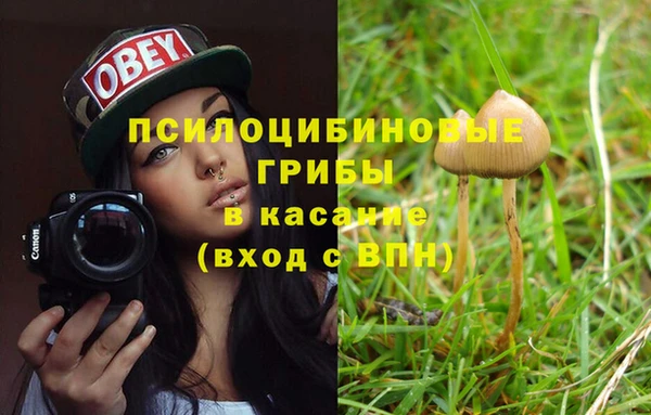 дживик Бронницы