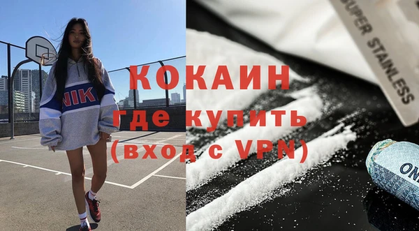 дживик Бронницы