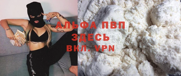 a pvp Бородино